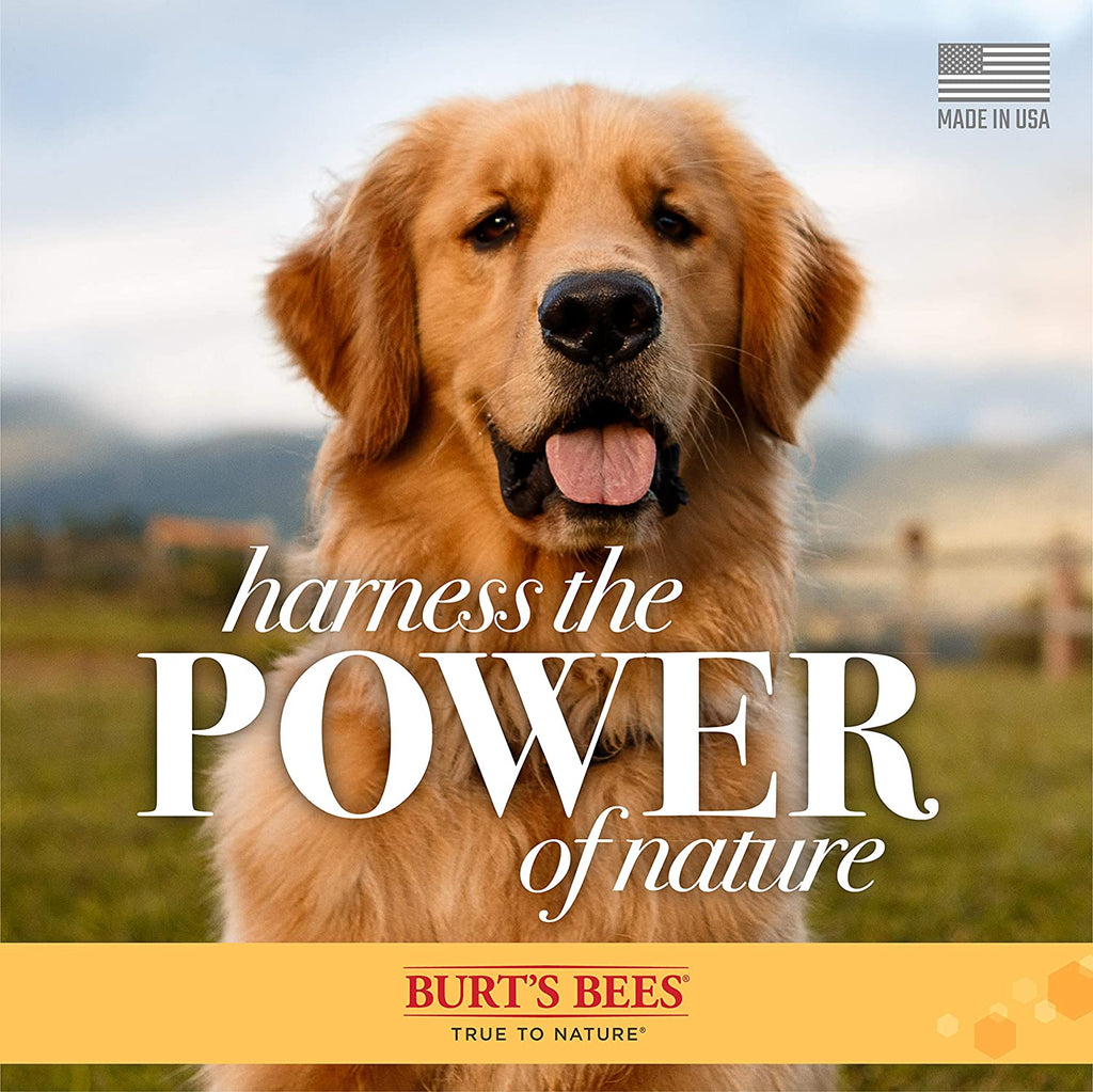 Burt'S Bees for Dogs Natural Hot Spot Shampoo with Apple Cider Vinegar & Aloe Vera | Soothing & Relieving Hot Spot Remedy for Dog | Cruelty Free, Sulfate & Paraben Free, Ph Balanced for Dogs | 16 Oz