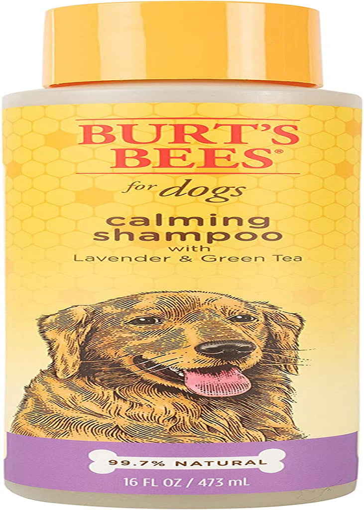 Burt'S Bees for Dogs Natural Calming Dog Shampoo with Lavender and Green Tea | Cleansing Lavender Dog Shampoo | Cruelty Free, Sulfate & Paraben Free, Ph Balanced for Dogs - Made in USA, 16 Oz