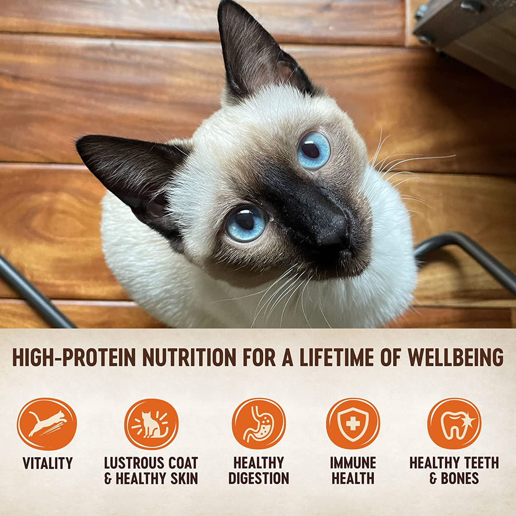 Wellness CORE Grain-Free Wet Cat Food, Natural Canned Food for Cats, (Indoor, Chicken, 3 Oz Cans, Pack of 12)