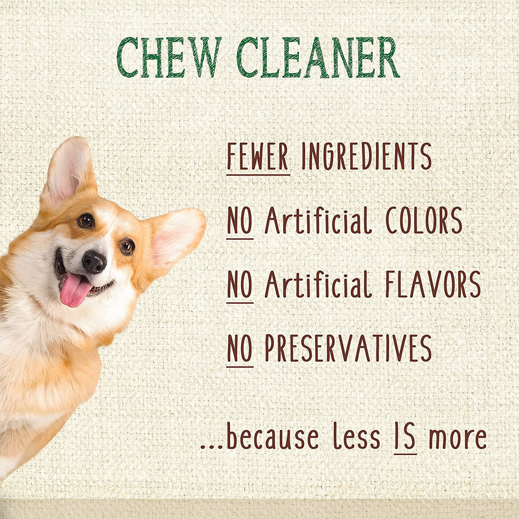 Nylabone Nutri Dent Dog Dental Treats - Natural Dog Teeth Cleaning & Breath Freshener - Dental Treats for Dogs - Fresh Breath Flavor, Medium (40 Count)