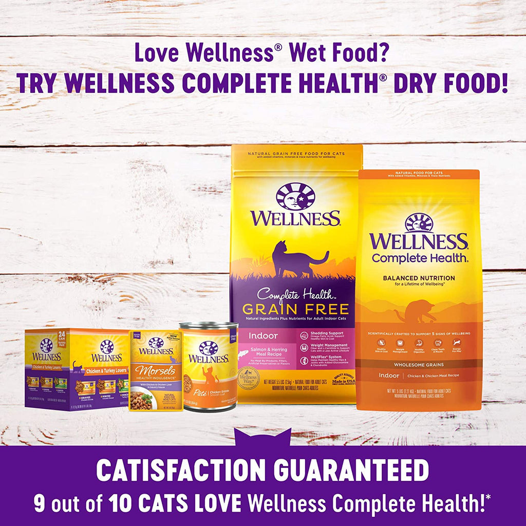 Complete Health Grain-Free Wet Canned Cat Food, Natural Ingredients, Made with Real Meat, All Breeds, Smooth Pate (Beef & Salmon, 3-Ounce Can, Pack of 24)